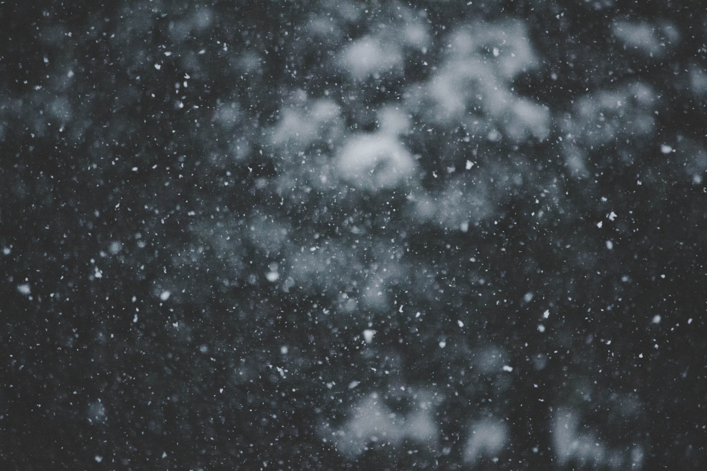 Photo of snow falling in front of green trees.