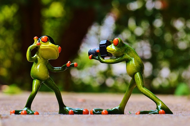 Frogs filming and acting