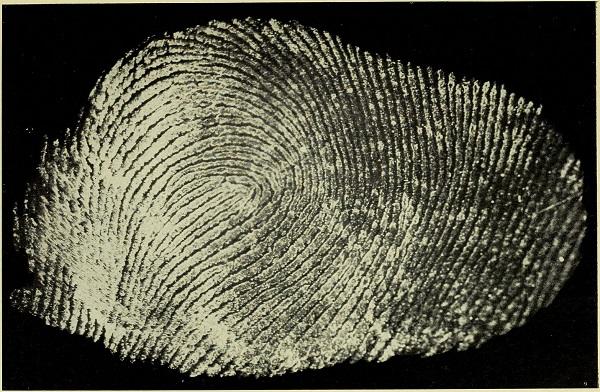 Fingerprint