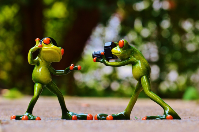 Performing frogs